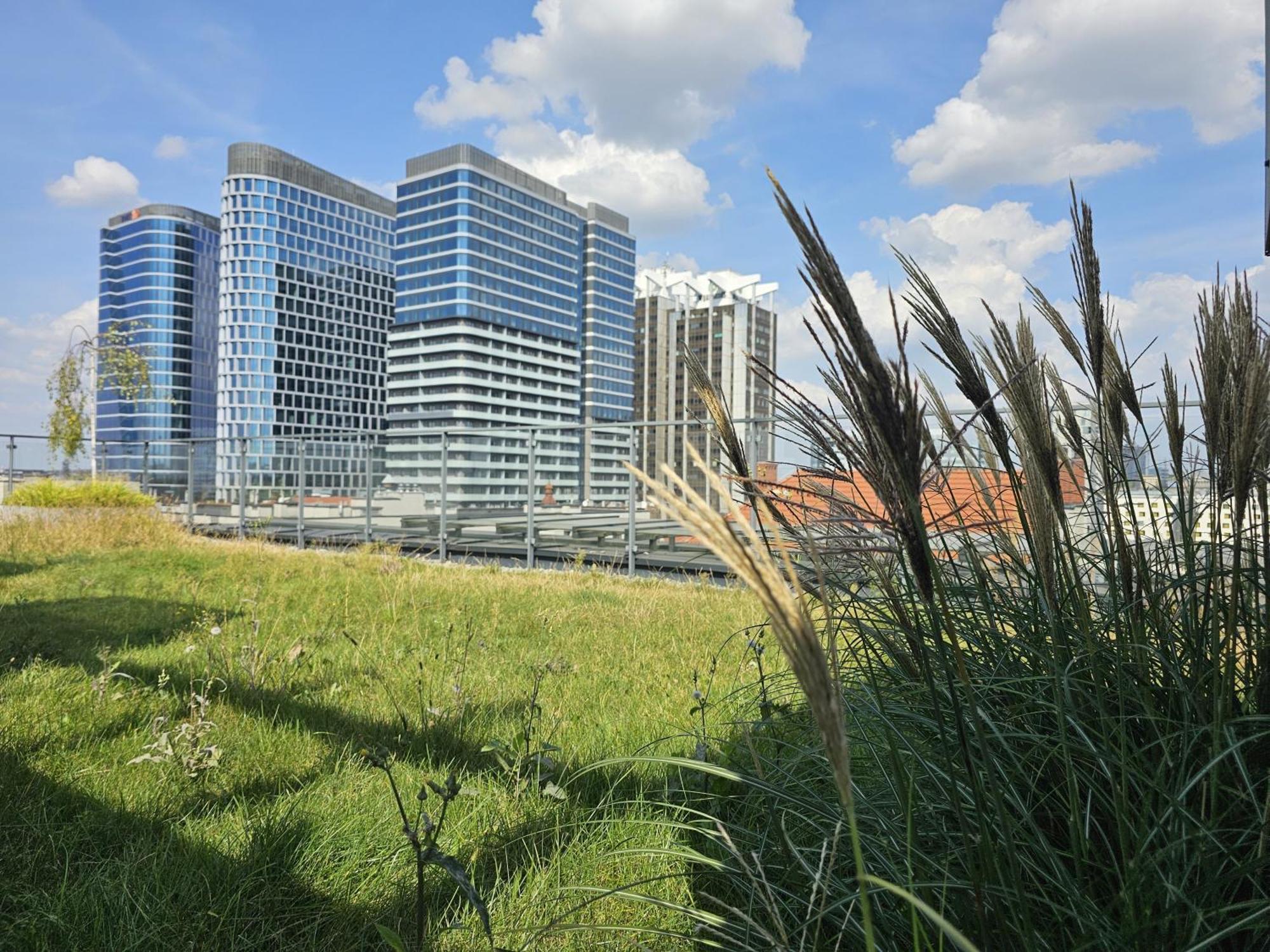 קטוביץ Urban Apartments Premium, Opolska 10 No 91, Free Garage, Self Check-In מראה חיצוני תמונה